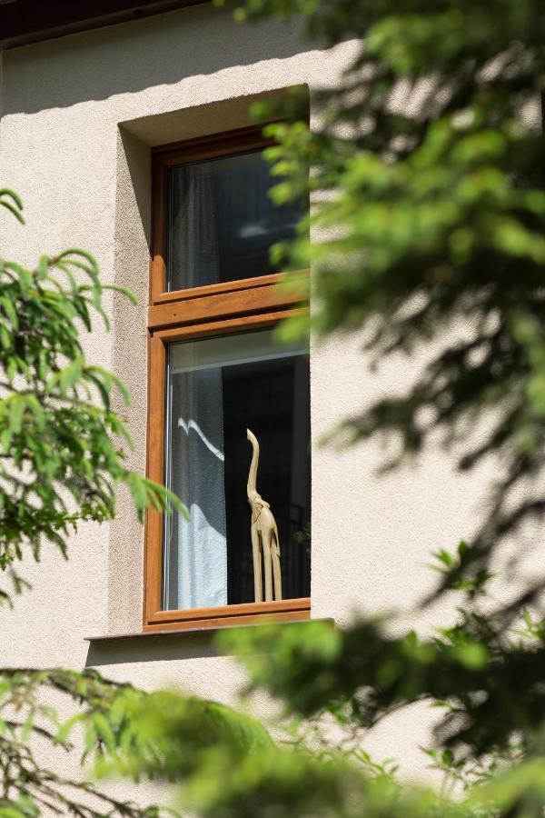 Villa Solis Svinoústí Exteriér fotografie